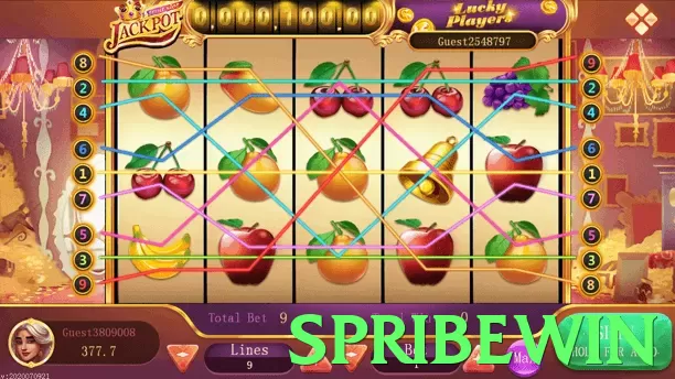 spribewin App - 5