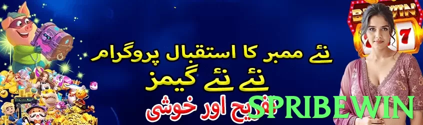 spribewin Pakistan - 3